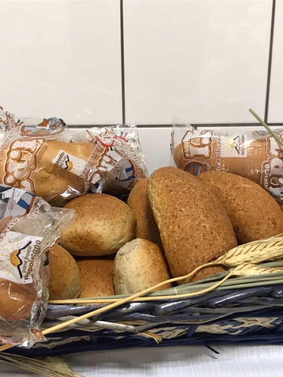 PANINI INTEGRALI