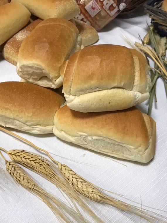 Panini a Olio